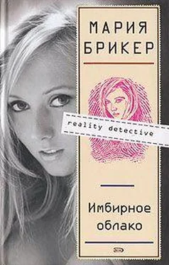 Мария Брикер Имбирное облако обложка книги