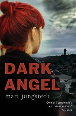 Mari Jungstedt Dark Angel обложка книги