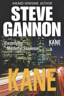 Steve Gannon Kane обложка книги