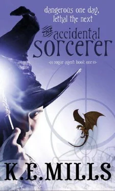 K. Mills The Accidental sorcerer обложка книги