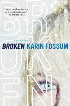 Karin Fossum Broken обложка книги