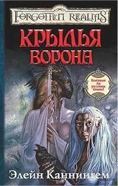 Элейн Каннингем Крылья ворона обложка книги