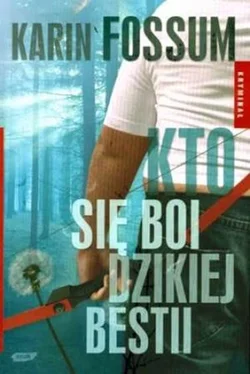 Karin Fossum Kto się boi dzikiej bestii обложка книги