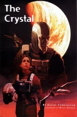 Элейн Каннингем - Кристалл