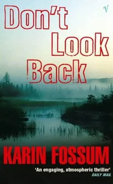 Karin Fossum Don't Look Back обложка книги