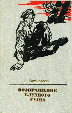 Владимир Соколовский Возвращение блудного сына обложка книги