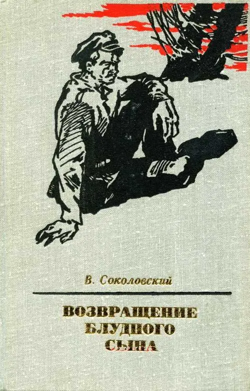 Возвращение сына книга