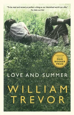 William Trevor Love and Summer обложка книги