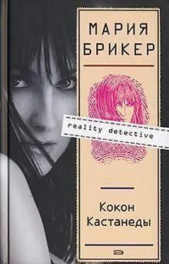 Мария Брикер Кокон Кастанеды обложка книги