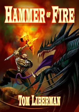 Tom Liberman The Hammer of Fire обложка книги