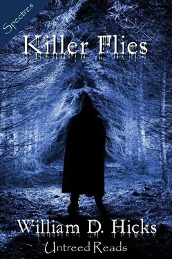 William Hicks Killer Flies обложка книги