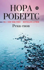 Нора Робертс - Река снов