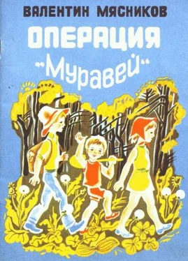 Валентин Мясников Операция Муравей обложка книги