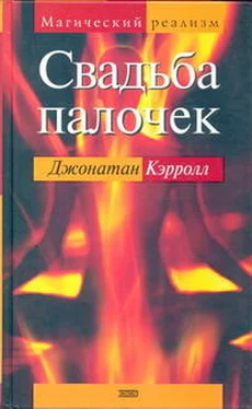 Джонатан Кэрролл Свадьба палочек обложка книги