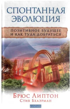Брюс Липтон Спонтанная эволюция: Позитивное будущее и как туда добраться обложка книги