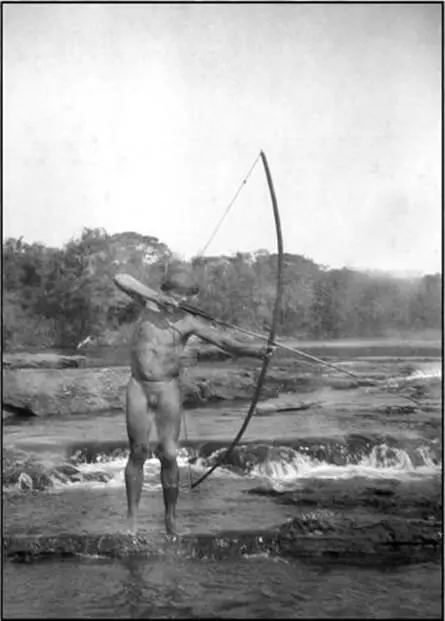 An Indian in the Xingu fishes with bow and arrow in 1937 Many scientists - фото 9