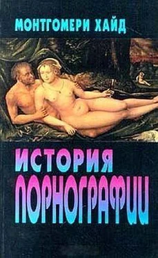 Хуан Монтгомери История порнографии обложка книги