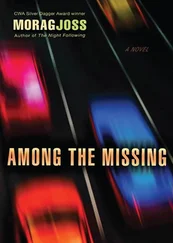 Morag Joss - Among the Missing aka Across the Bridge