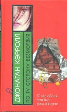 Джонатан Кэрролл По ту сторону безмолвия обложка книги