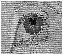 The eye of the unicorn in reverse on the back side of the tapestry Detail - фото 19
