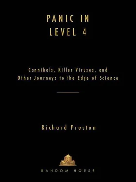 Richard Preston Panic in Level 4 обложка книги