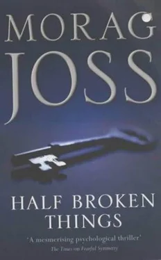 Morag Joss Half Broken Things обложка книги