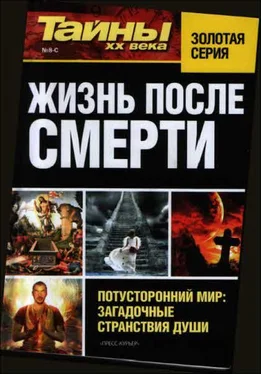 разные Жизнь после смерти обложка книги