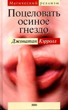 Джонатан Кэрролл Поцеловать осиное гнездо обложка книги