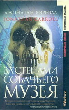 Джонатан Кэрролл За стенами собачьего музея обложка книги