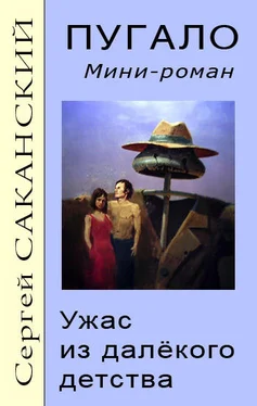 Сергей Саканский Пугало. Ужас из далекого детства обложка книги