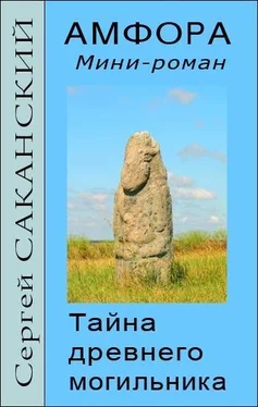 Сергей Саканский Амфора. Тайна древнего могильника обложка книги