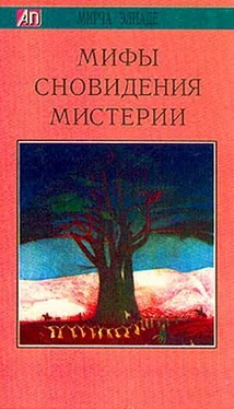 Мирча Элиаде Мифы, сновидения, мистерии обложка книги