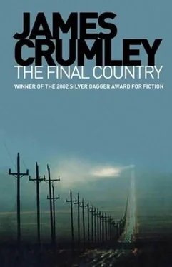 James Crumley The Final Country обложка книги