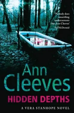 Ann Cleeves Hidden Depths обложка книги