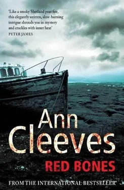 Ann Cleeves Red Bones обложка книги