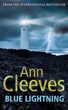 Ann Cleeves Blue Lightning