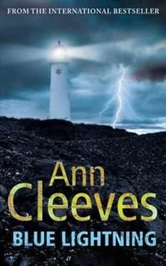 Ann Cleeves Blue Lightning обложка книги