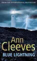 Ann Cleeves - Blue Lightning