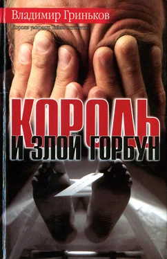 Владимир Гриньков Король и Злой Горбун обложка книги