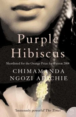 Чимаманда Адичи Purple hibiscus обложка книги