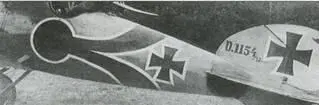 Albatros DV с крестами осени 1917 г ОПОЗНАВАТЕЛЬНЫЕ ЗНАКИ 25 июля 1916 г - фото 13