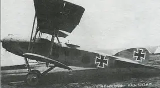 Albatros CV17 с пятнистым вариантом камуфляжа Цвета окраски точно не - фото 9