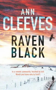 Ann Cleeves Raven Black обложка книги