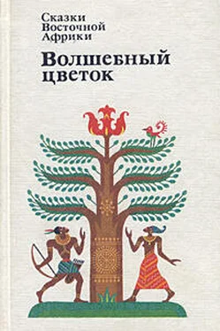 Неизвестный Автор Сказки Восточной Африки. Волшебный Цветок обложка книги