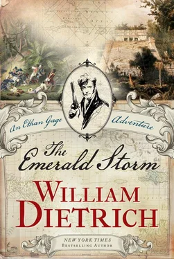 William Dietrich The Emerald Storm обложка книги