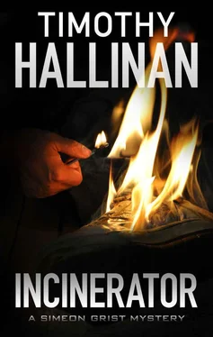 Timothy Hallinan Incinerator обложка книги