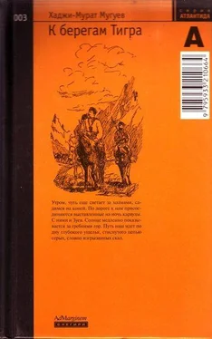 Хаджи-Мурат Мугуев К берегам Тигра обложка книги