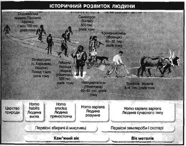 Кирило Галушко кандидат історичних наук доцент директор Центру імені В - фото 5