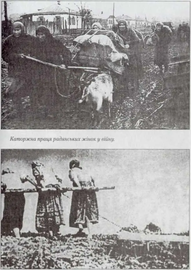 Моргун ФТ Хто і де зірвав бліцкриг 2006 - фото 17
