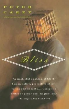 Peter Carey Bliss обложка книги